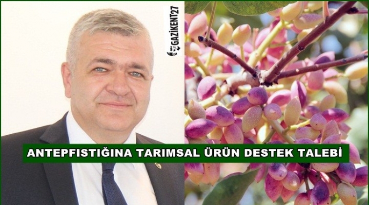 Antepfıstığına tarım desteği istedi
