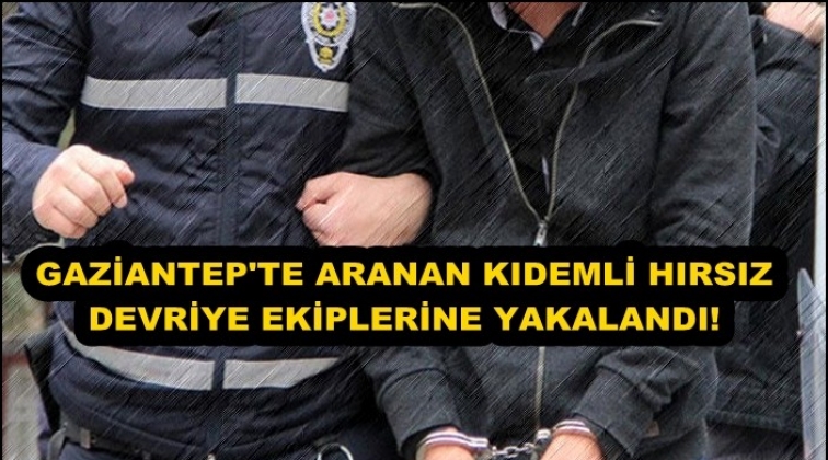 Aranan hırsızlık zanlısı devriyeye yakalandı!