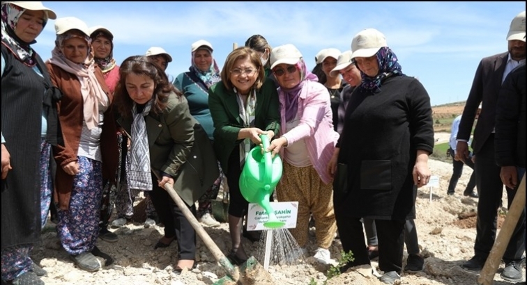 Aromatik ve tıbbi bitkiler ormanı kuruldu...