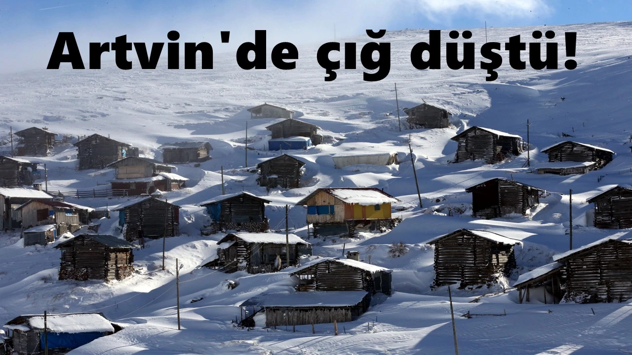 Artvin'de &ccedil;ığ d&uuml;şt&uuml;: Mahsur kalan &ccedil;obanlar var!