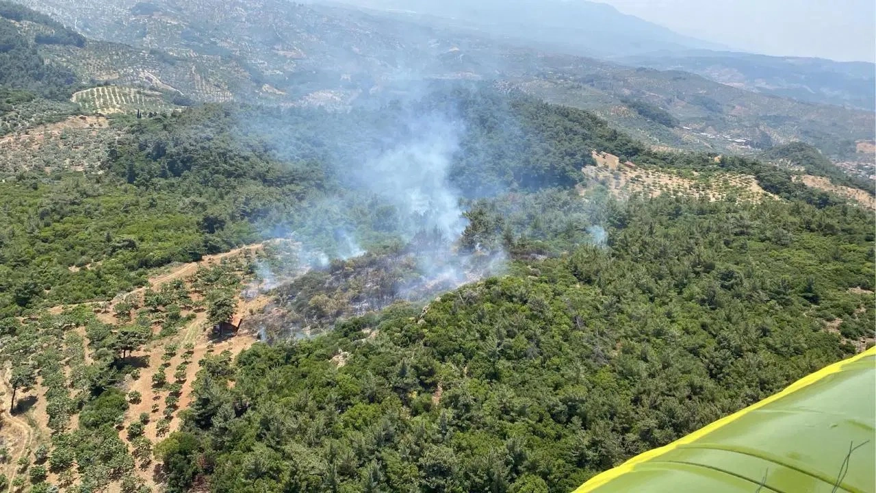 Aydın'da orman yangını!