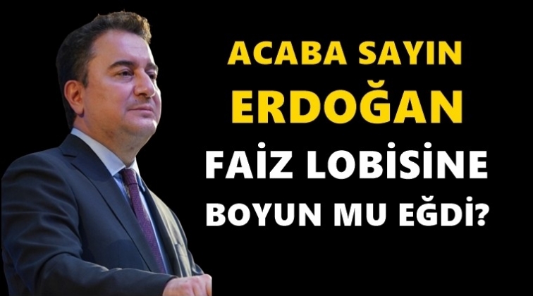 Babacan: Hani faiz lobisi vardı?