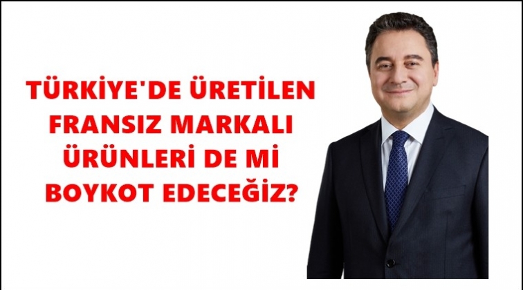 Babacan'dan boykot yorumu...