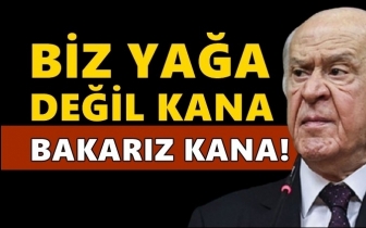 Bahçeli: Biz yağa değil kana bakarız kana!