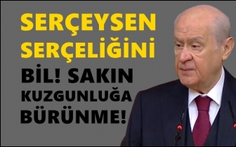 Bahçeli bu kez Sezen Aksu'yu hedef aldı...