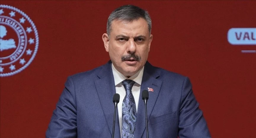 Bakan &Ccedil;ift&ccedil;i: T&uuml;m sokak k&ouml;pekleri barınaklara alınacak