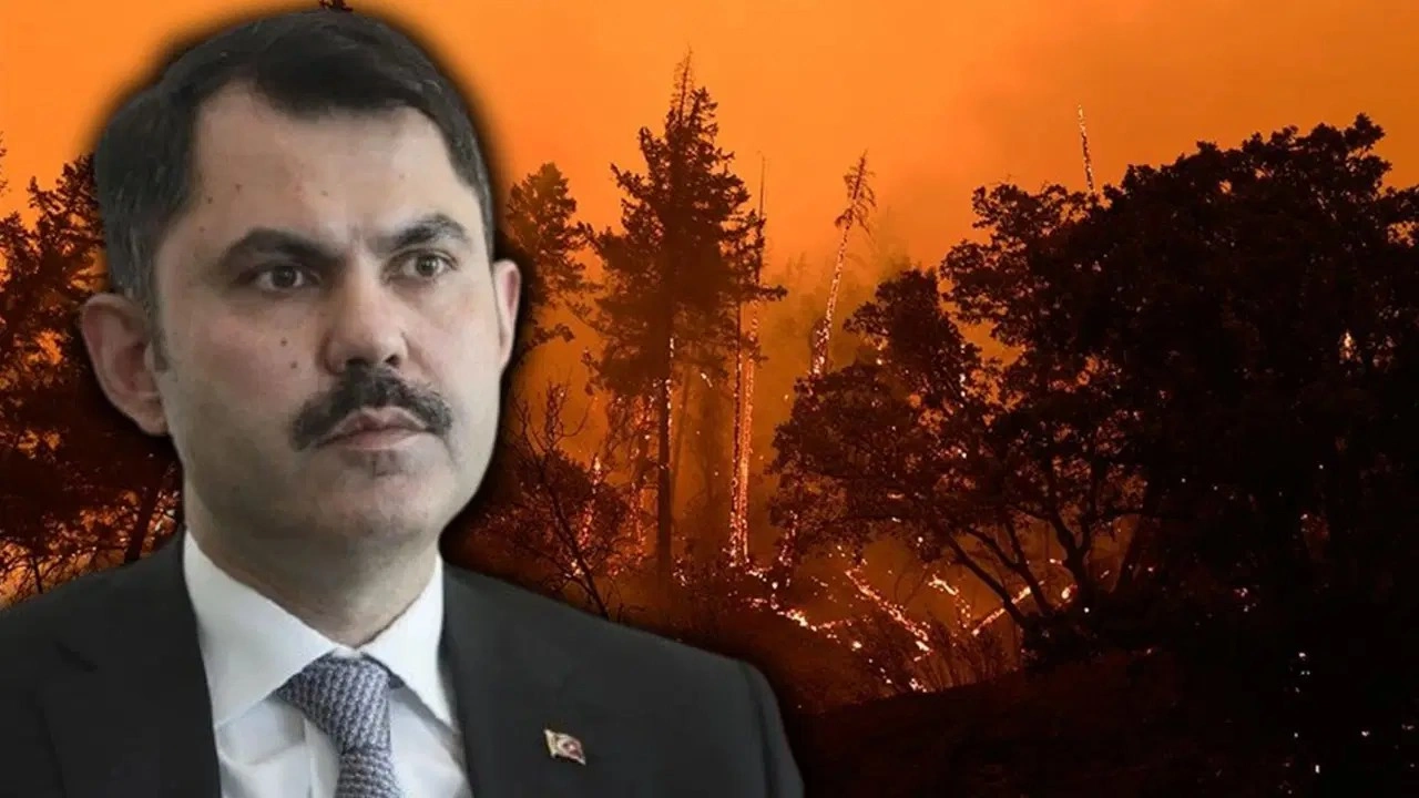 Bakan Kurum açıkladı: 4 ilde yangınlarda acı tablo
