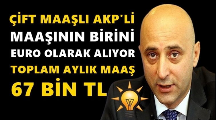 Bakan Yardımcısı ikinci maaşı Euro olarak alıyor!..