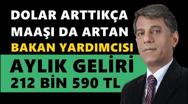 Bakan Yardımcısı’nın aylık geliri 212 bin 590 lira!