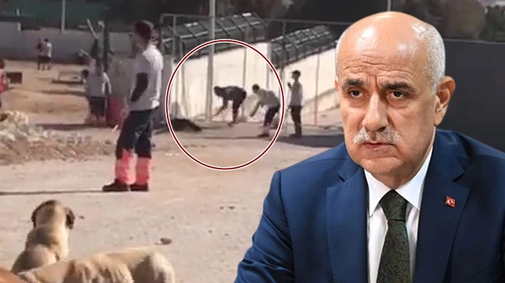 Bakanlıktan 'Köpek katliamı' açıklaması: Koşullarda olumsuzluk yok!