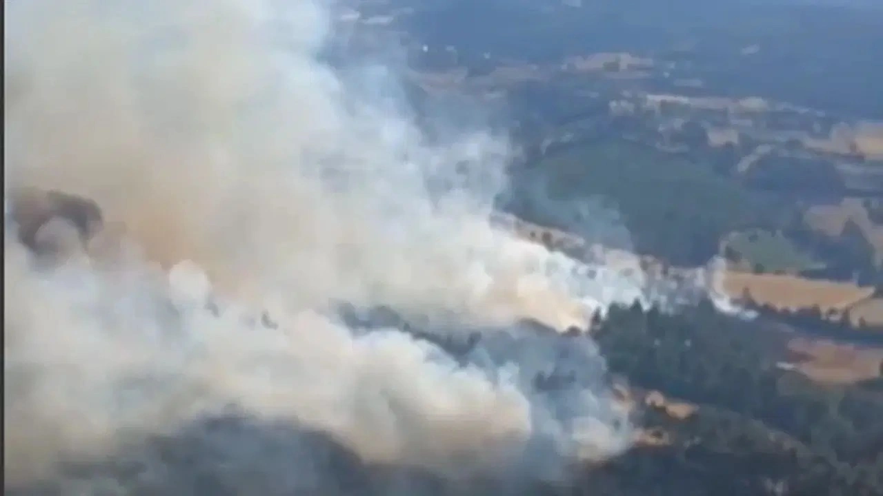 Balıkesir Dursunbey'de arazide çıkan yangın ormana sıçradı