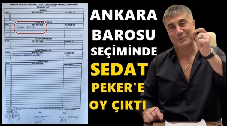 Baro seçimlerinde Sedat Peker'e oy çıktı!..