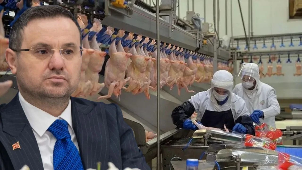 Beyaz et sekt&ouml;r&uuml;nde 13 şirkete kayyım atandı!
