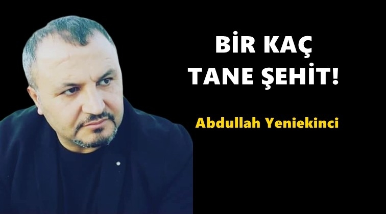 Bir kaç tane şehit!