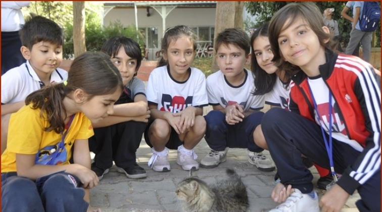 'Bir Tabak Mama, Bir Kucak Mutluluk' Projesi