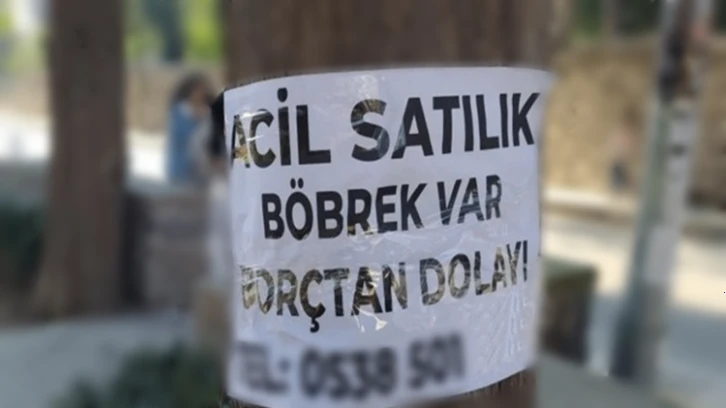 Böbreğini satmak isteyenlerin sayısı organ bağışçılarını geçti