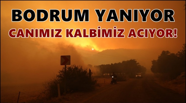 Bodrum yanıyor! Canımız, kalbimiz acıyor!..