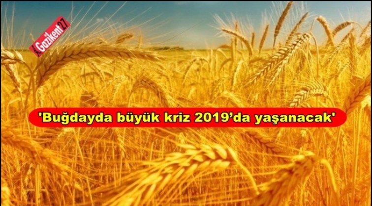 'Buğdayda büyük kriz 2019’da yaşanacak'