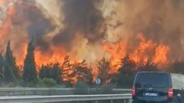 Bugün de Bornova ve Buca yanıyor!
