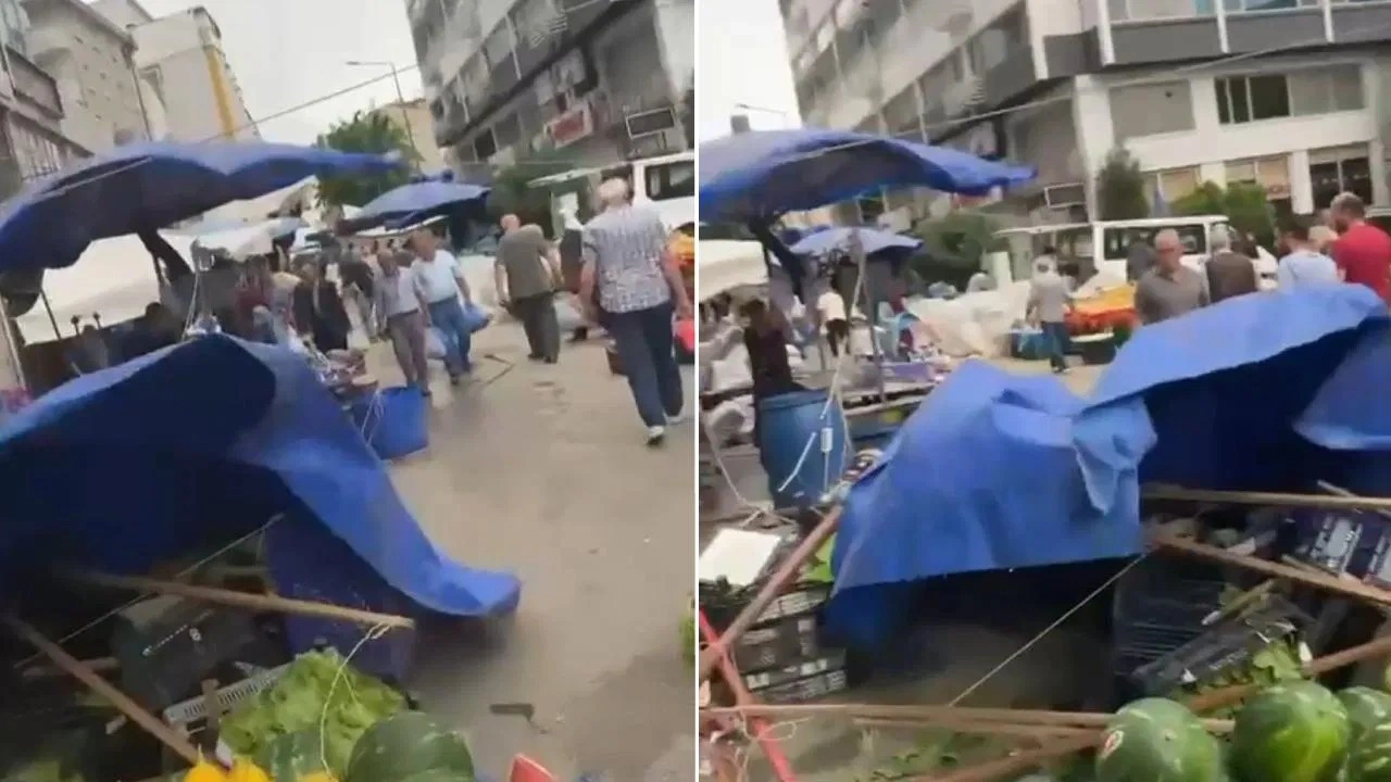Bursa'da lodos yaşamı olumsuz etkiledi!