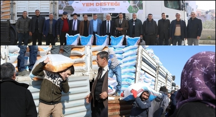 Büyükşehir, 375 ton yem dağıtacak...