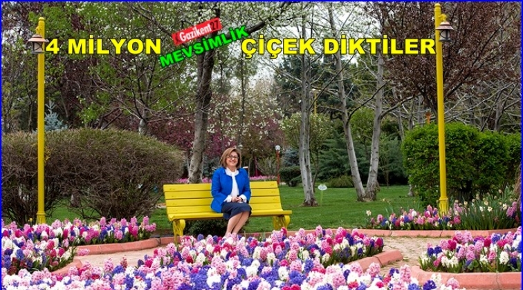 B&uuml;y&uuml;kşehir, 4 milyon mevsimlik &ccedil;i&ccedil;ek dikti