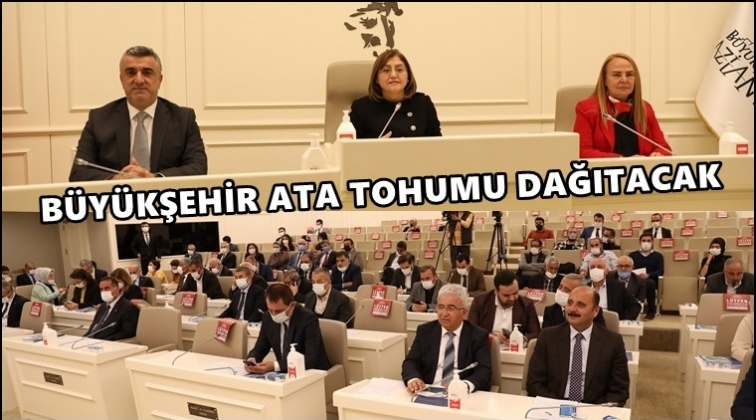 Büyükşehir, Ata tohumu dağıtacak...