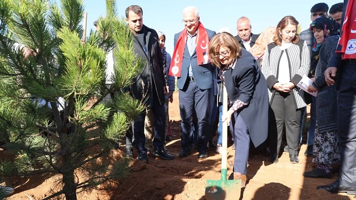 Büyükşehir'den Taşlıca'da ağaç dikimi 