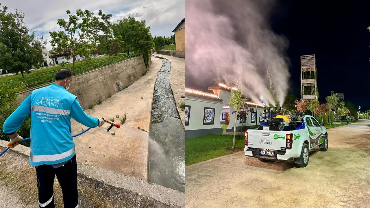 Büyükşehir'den üvez istilasına karşı ilaçlama çalışması