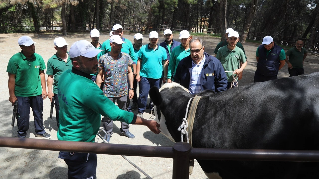 B&uuml;y&uuml;kşehir'in &ldquo;Kurban Yakalama Timi&rdquo; g&ouml;reve hazır