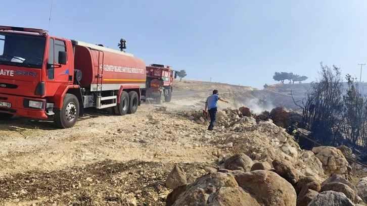 Büyükşehir İtfaiye'den orman yangınına anında müdahale