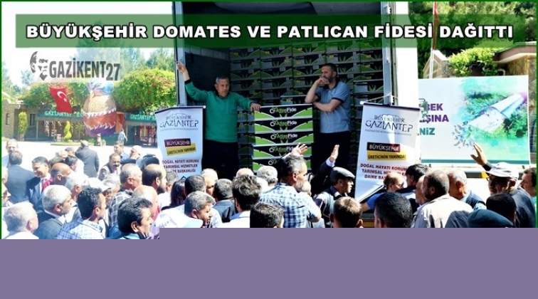 B&uuml;y&uuml;kşehir patlıcan ve domates fidesi dağıttı
