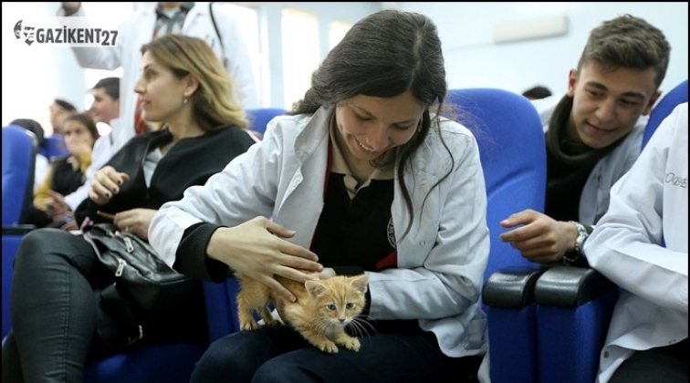 B&uuml;y&uuml;kşehir'den &ldquo;Hayvan Sevgisi ve Bakımı&rdquo; semineri