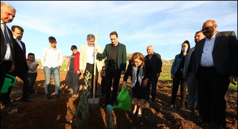 Büyükşehir'den Nurdağı’na 30 bin zeytin fidanı