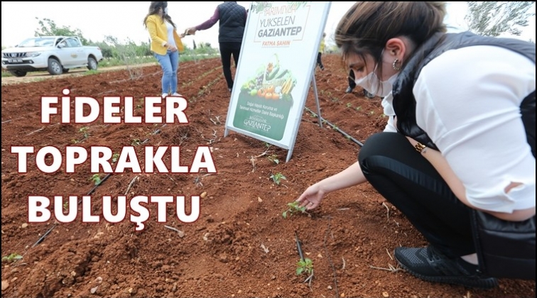 Büyükşehir'in fideleri toprakla buluşuyor