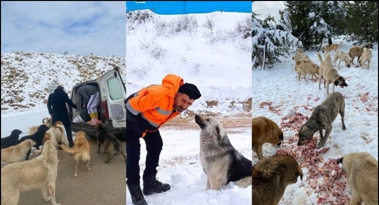 CAHİDE, hayvan dostlarını unutmadı...