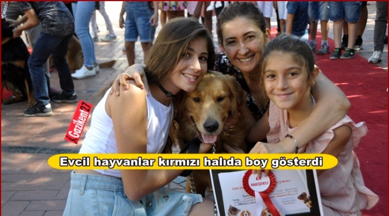 Can dostlar kırmızı halıda