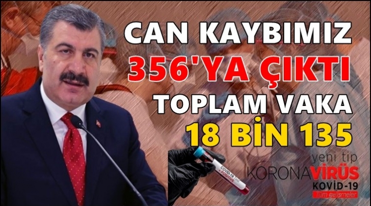 Can kaybımız 356'ya yükseldi!..