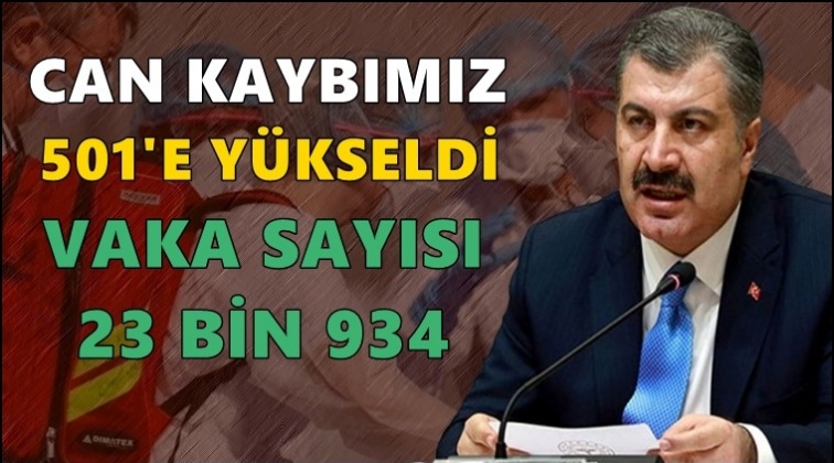 Can kaybımız 501'e ulaştı...