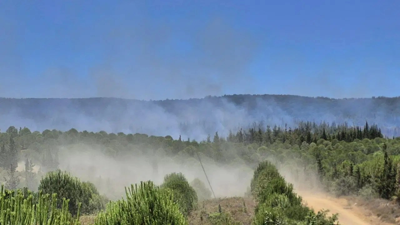 Çanakkale Lapseki'de orman yangını