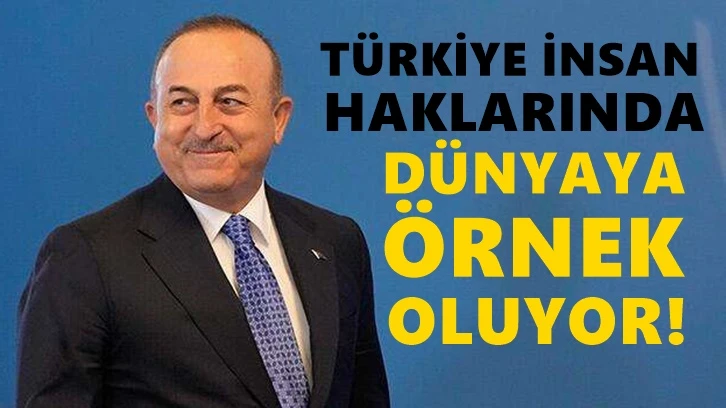 Çavuşoğlu: Türkiye insan haklarında dünyaya örnek oluyor!