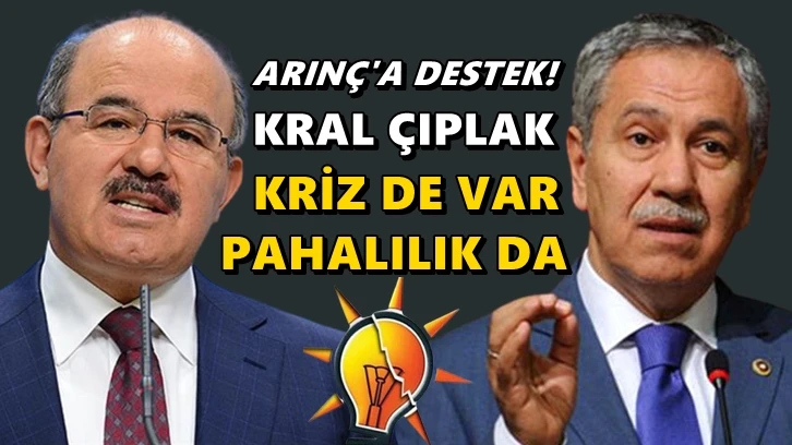 Çelik'ten Arınç'a destek: Kral çıplak...