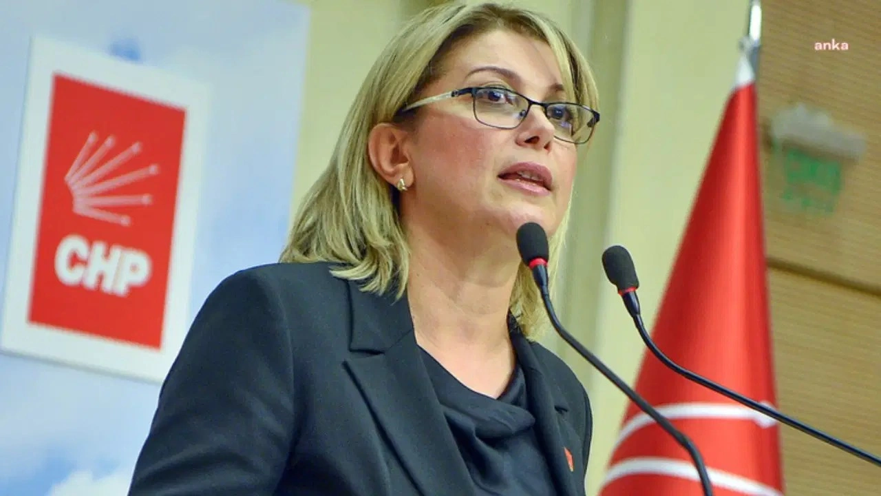 CHP'li Asu Kaya: 'Oya Başkanımızın, bürokrat ve yönetici kadınların yanındayız'