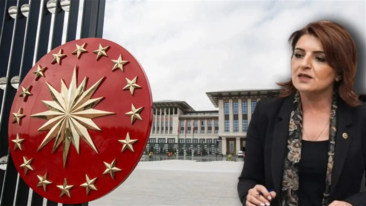 CHP'li Kış'tan hükümete israf tepkisi: 'Saray’dan bakınca marketteki etiket görünmüyo