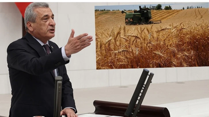 CHP'li Öztürkmen'den hükümete 'buğday' uyarısı