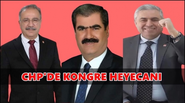 CHP'de kongre heyecanı