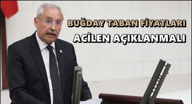 CHP'li Kaplan: Buğday taban fiyatı acilen açıklanmalı