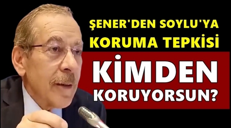 CHP'li Şener: Bakanı kimden koruyorsun ya...