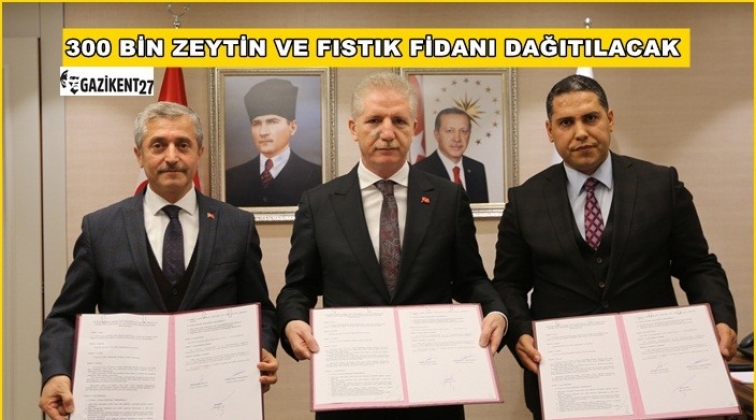 &Ccedil;ift&ccedil;ilere zeytin ve fıstık fidanı dağıtımı yapılacak