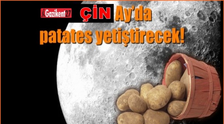 Çin, Ay’da patates yetiştirecek!